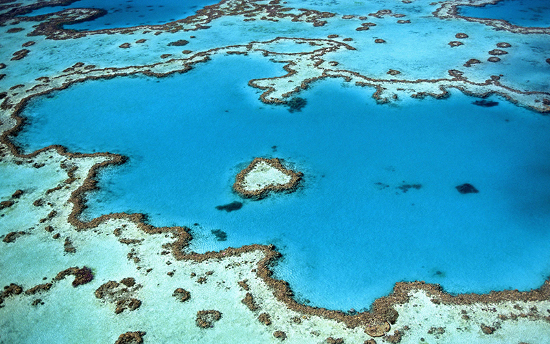 great_barrier_reef